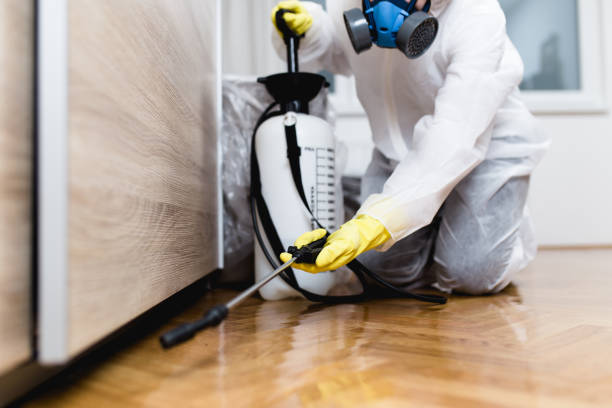 Best Commercial Pest Control Services  in Olivet, TN
