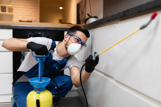 Best Pest Control for Homes  in Olivet, TN