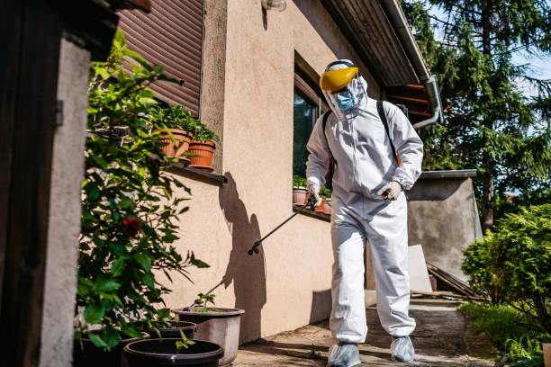 Best Best Pest Control Near Me  in Olivet, TN