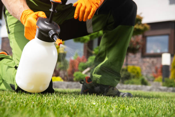 Best Insect Control  in Olivet, TN