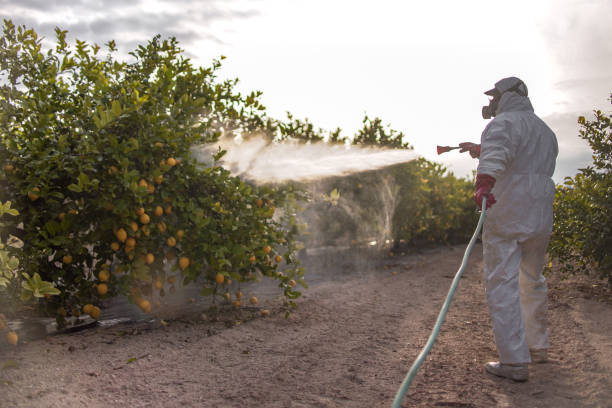 Best Affordable Pest Control Services  in Olivet, TN