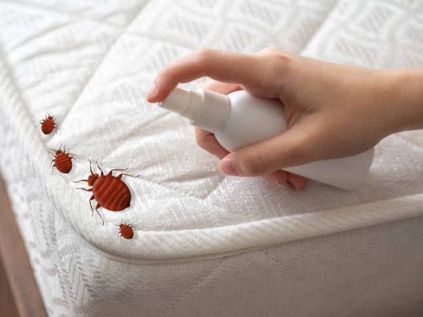 Best Cockroach Control Services  in Olivet, TN
