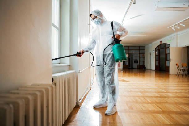 Best Ant Control Services  in Olivet, TN