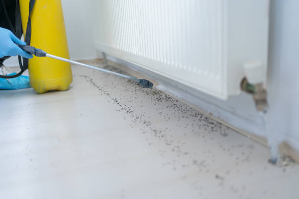 Best Exterminator Services  in Olivet, TN
