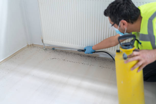 Best Termite Control Services  in Olivet, TN